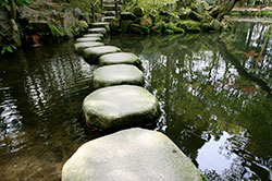 Stepping Stones to Discovery