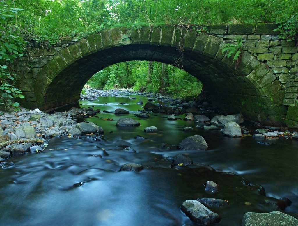 managing conflict bridge