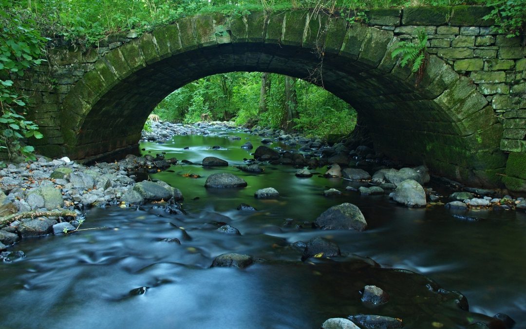 Bridge the Divide of Conflict with Direct Reports