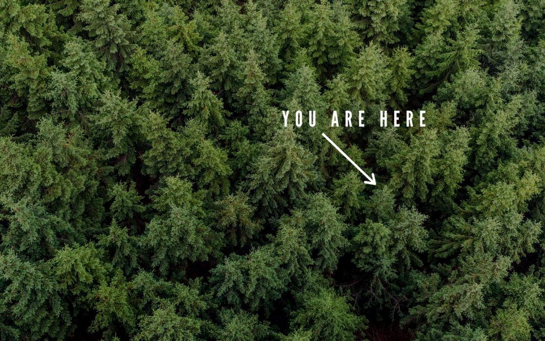 Welcome to the Neutral Zone